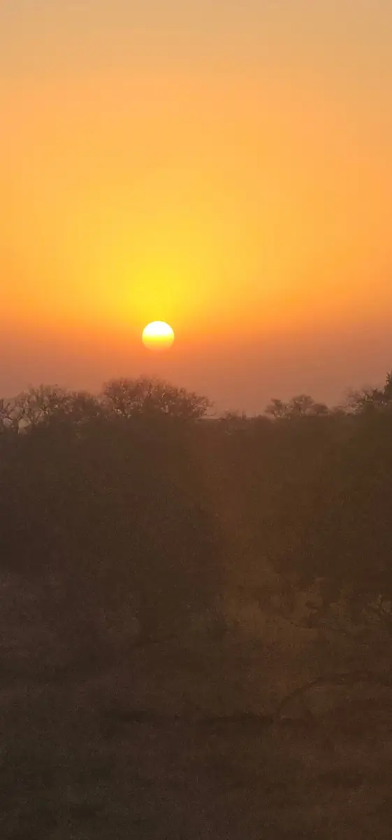 Our Mauritian guests enjoyed stunning sunsets, exquisite cuisine, and fantastic wildlife during their stays at Kapama Southern Camp and Monwana, Thornybush