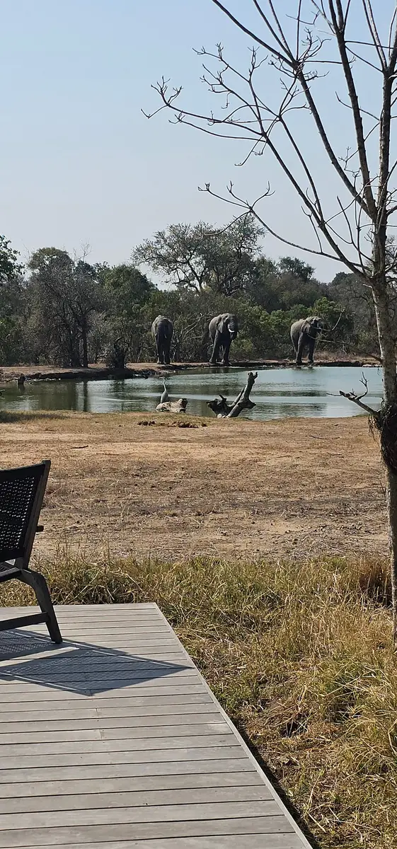 Our Mauritian guests enjoyed stunning sunsets, exquisite cuisine, and fantastic wildlife during their stays at Kapama Southern Camp and Monwana, Thornybush