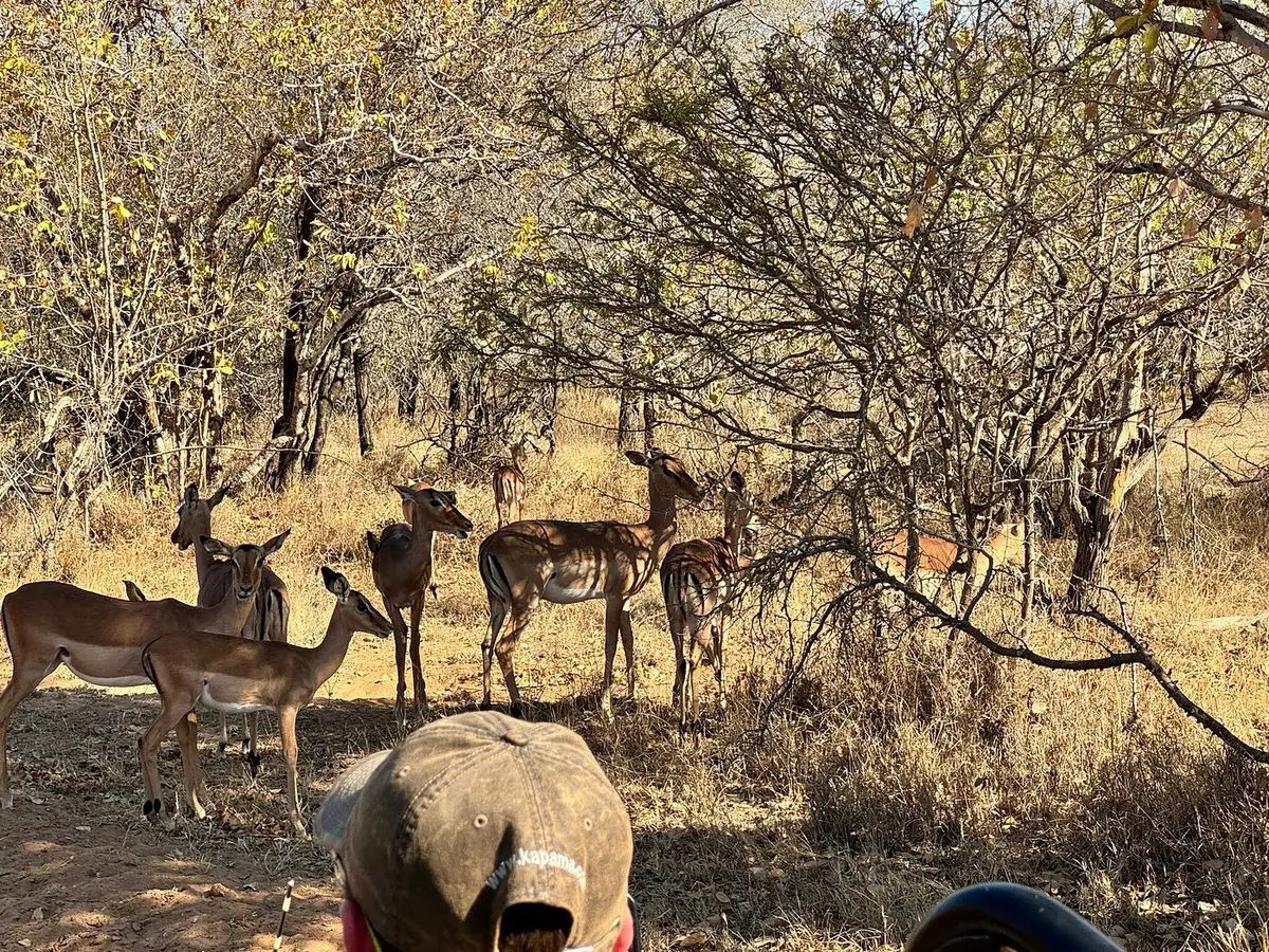 Our Mauritian guests enjoyed stunning sunsets, exquisite cuisine, and fantastic wildlife during their stays at Kapama Southern Camp and Monwana, Thornybush