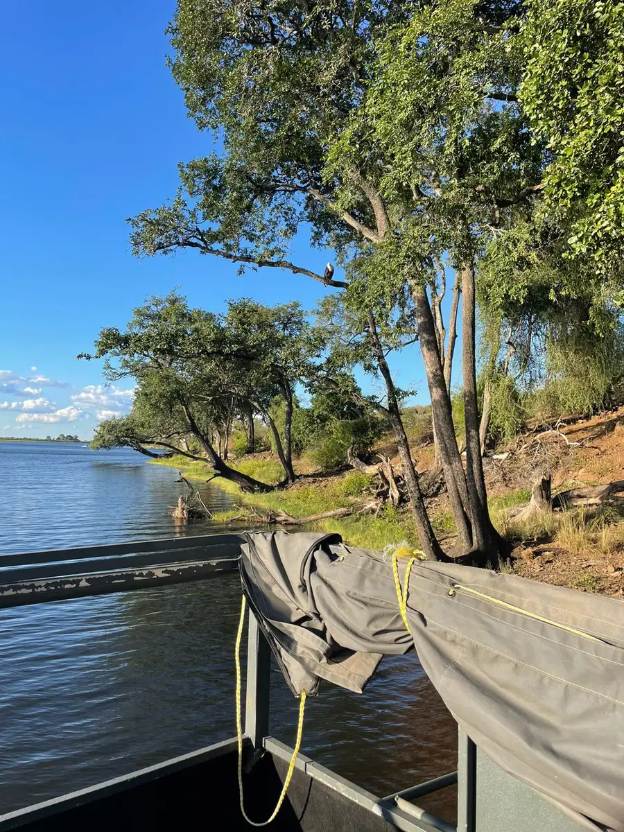 Our American guest shared stunning photos from their trip to Chobe National Park, showcasing the park's beautiful environment