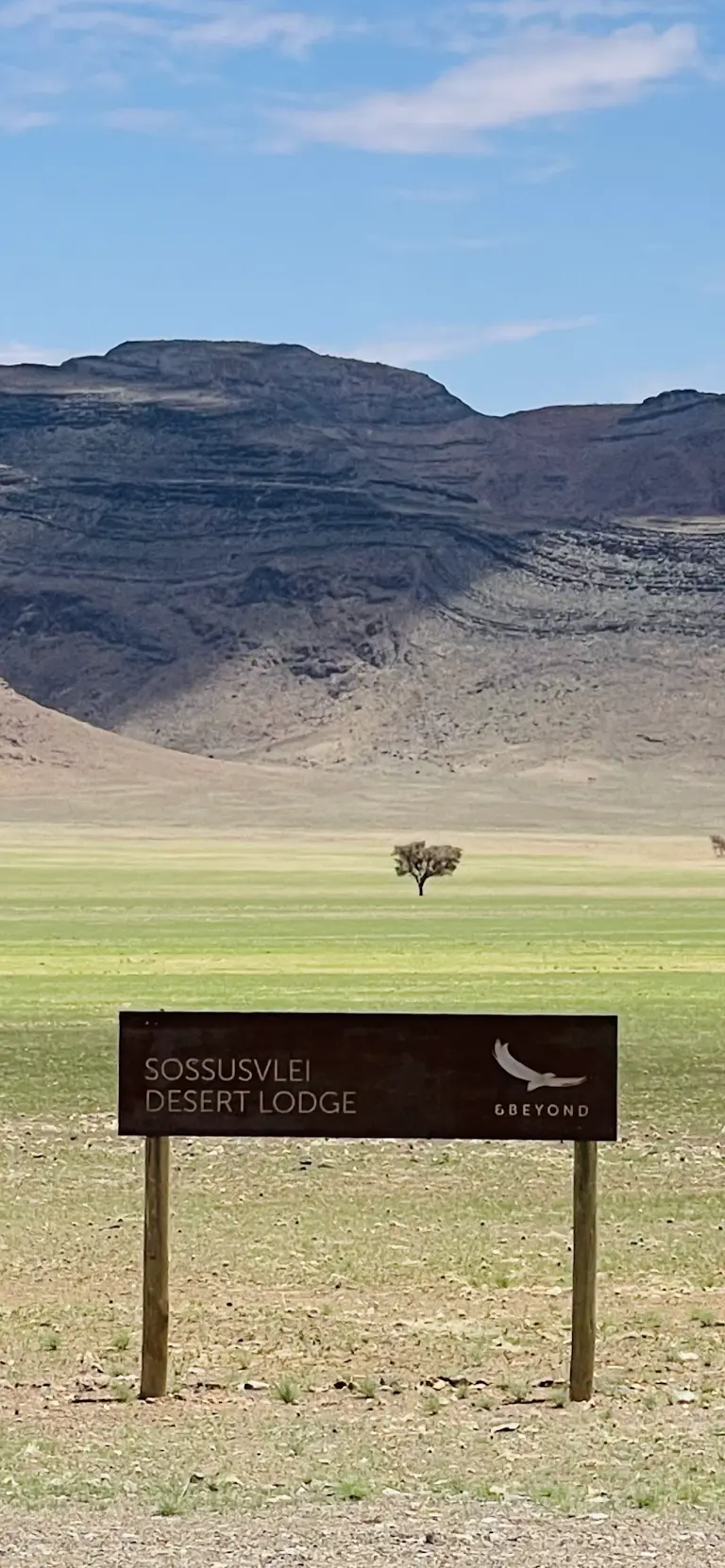 Our UK guests traveled by private flights from Windhoek to Sossusvlei and Swakopmund. At &Beyond Sossusvlei Desert Lodge, they enjoyed stunning desert views, cycling, quad biking, and the rare sight of desert rain—the first in 10 years.