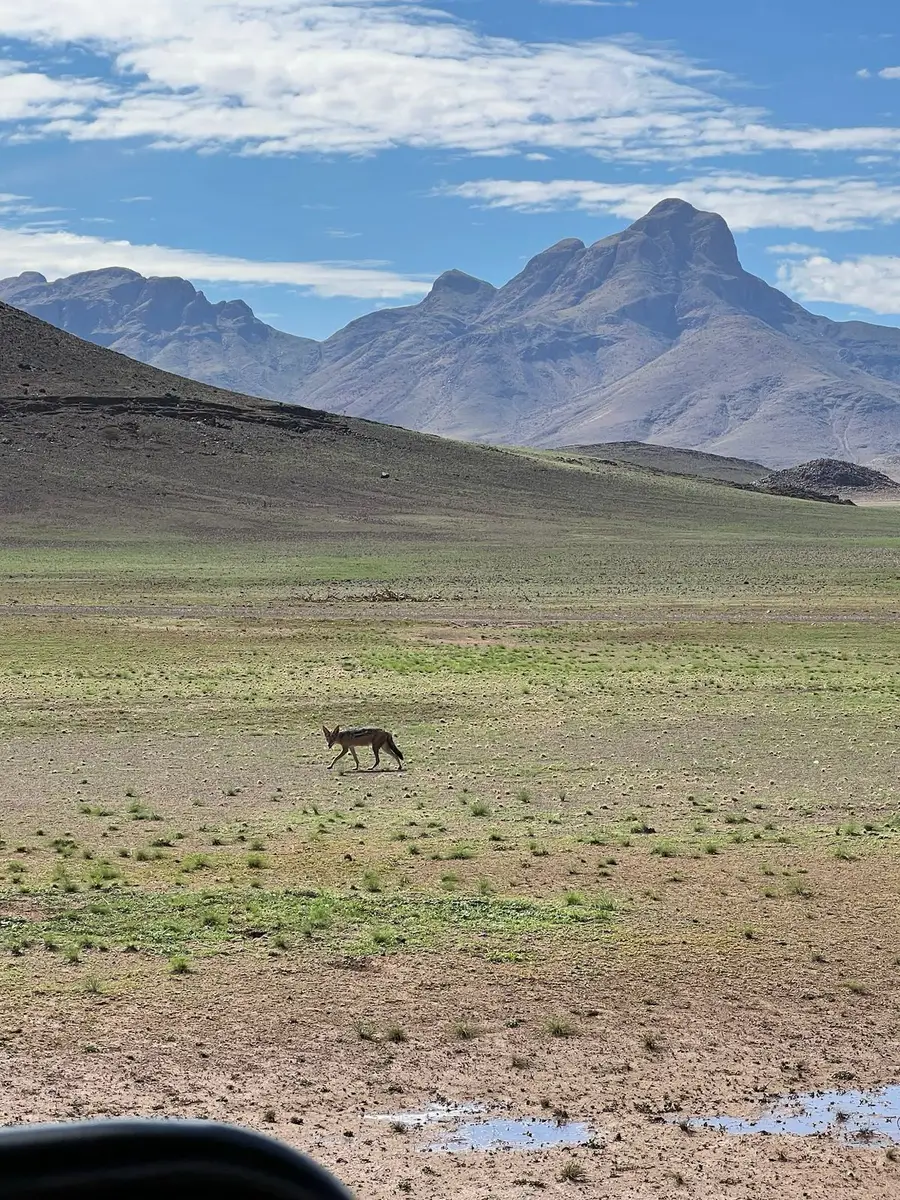 Our UK guests traveled by private flights from Windhoek to Sossusvlei and Swakopmund. At &Beyond Sossusvlei Desert Lodge, they enjoyed stunning desert views, cycling, quad biking, and the rare sight of desert rain—the first in 10 years.