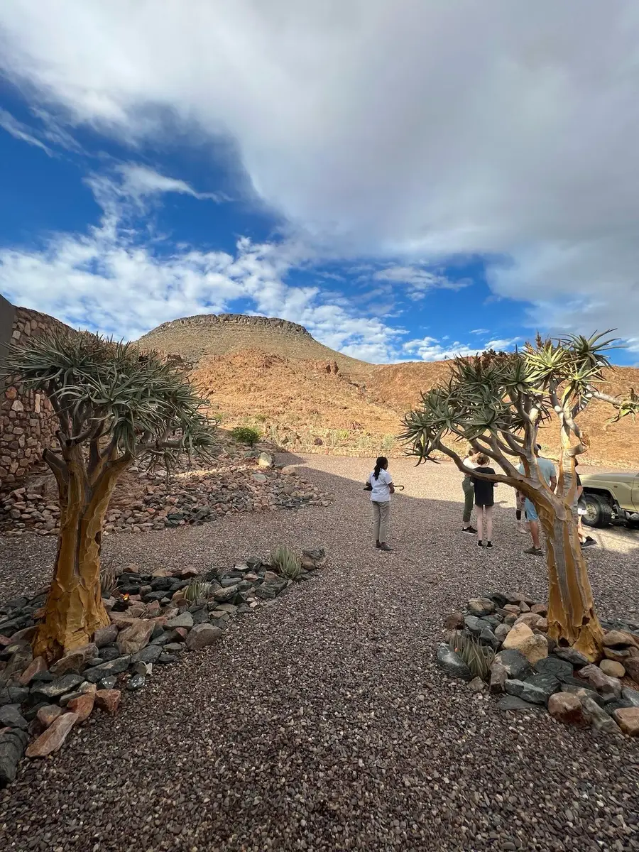 Our UK guests traveled by private flights from Windhoek to Sossusvlei and Swakopmund. At &Beyond Sossusvlei Desert Lodge, they enjoyed stunning desert views, cycling, quad biking, and the rare sight of desert rain—the first in 10 years.