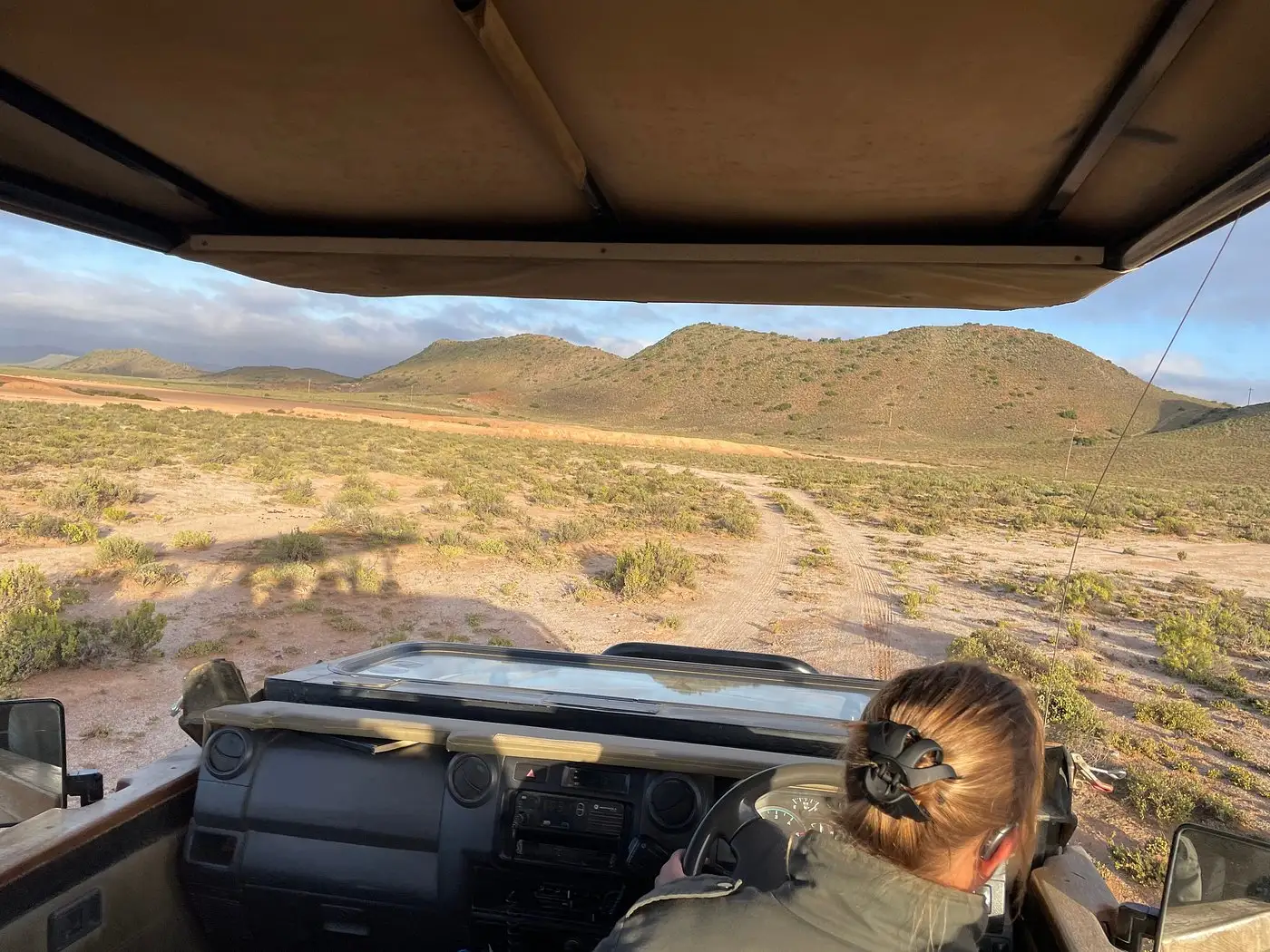  Photos from our UK guests who experienced the beauty of Cape Town and a quick 2-day safari at Sanbona, just a 3-hour drive from the city