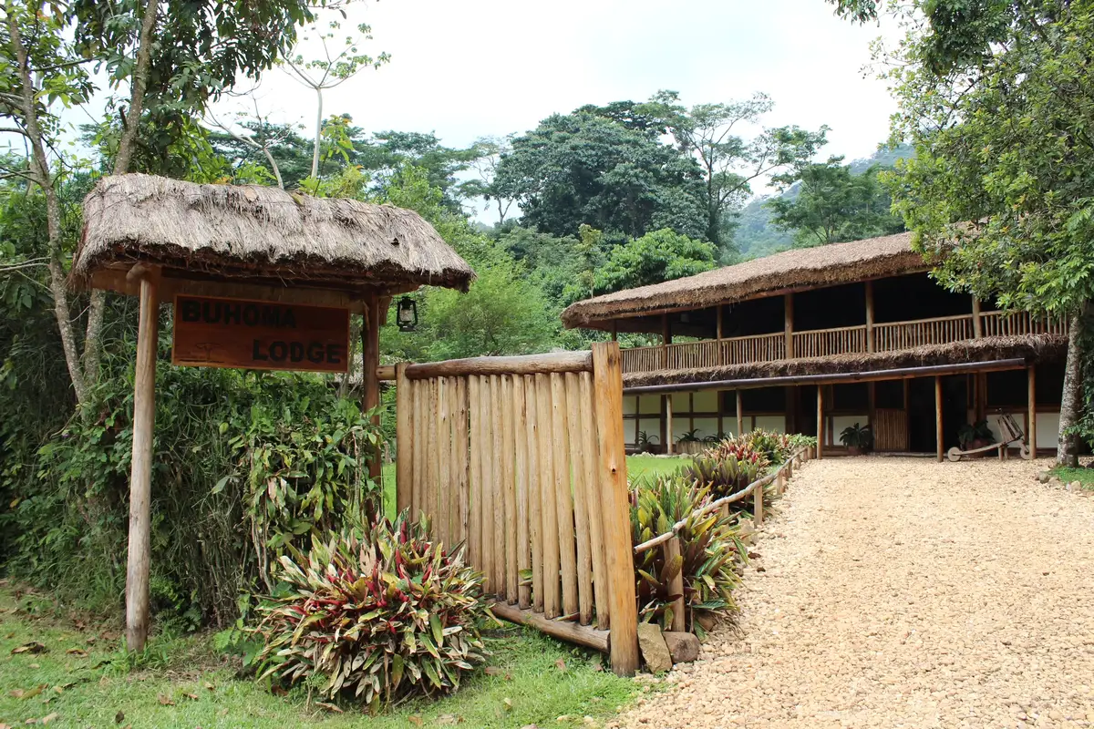 Our adventurous Dutch guests explored Uganda, trekked with gorillas, stayed at Buhoma Lodge, and ventured into Bwindi Impenetrable Forest