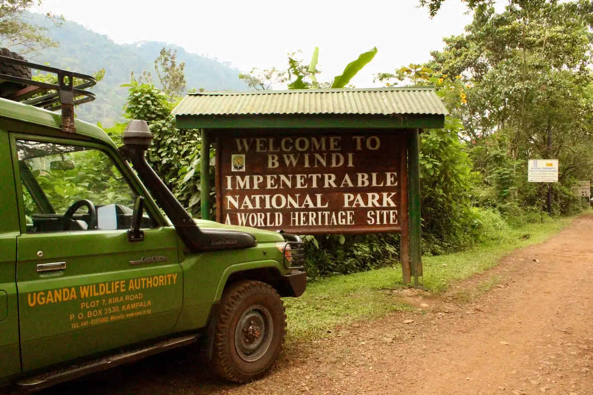 Our adventurous Dutch guests explored Uganda, trekked with gorillas, stayed at Buhoma Lodge, and ventured into Bwindi Impenetrable Forest