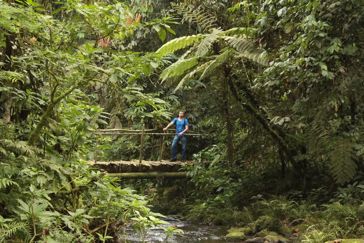 Our adventurous Dutch guests explored Uganda, trekked with gorillas, stayed at Buhoma Lodge, and ventured into Bwindi Impenetrable Forest