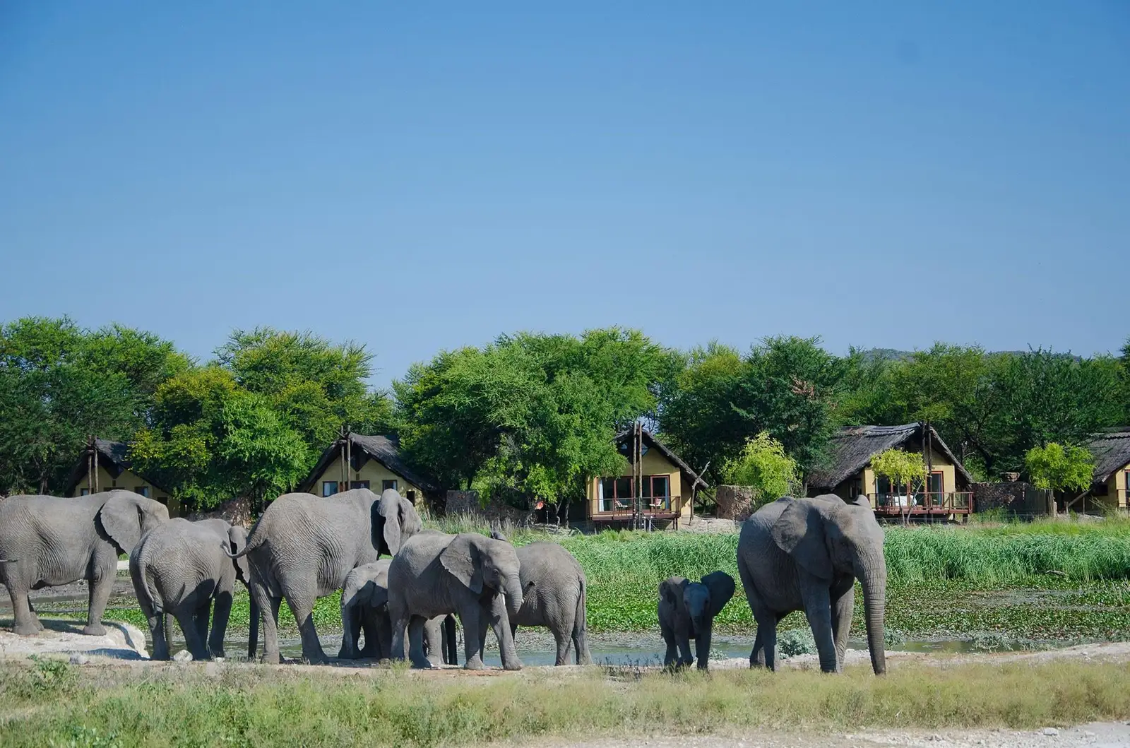 Tau Game Lodge