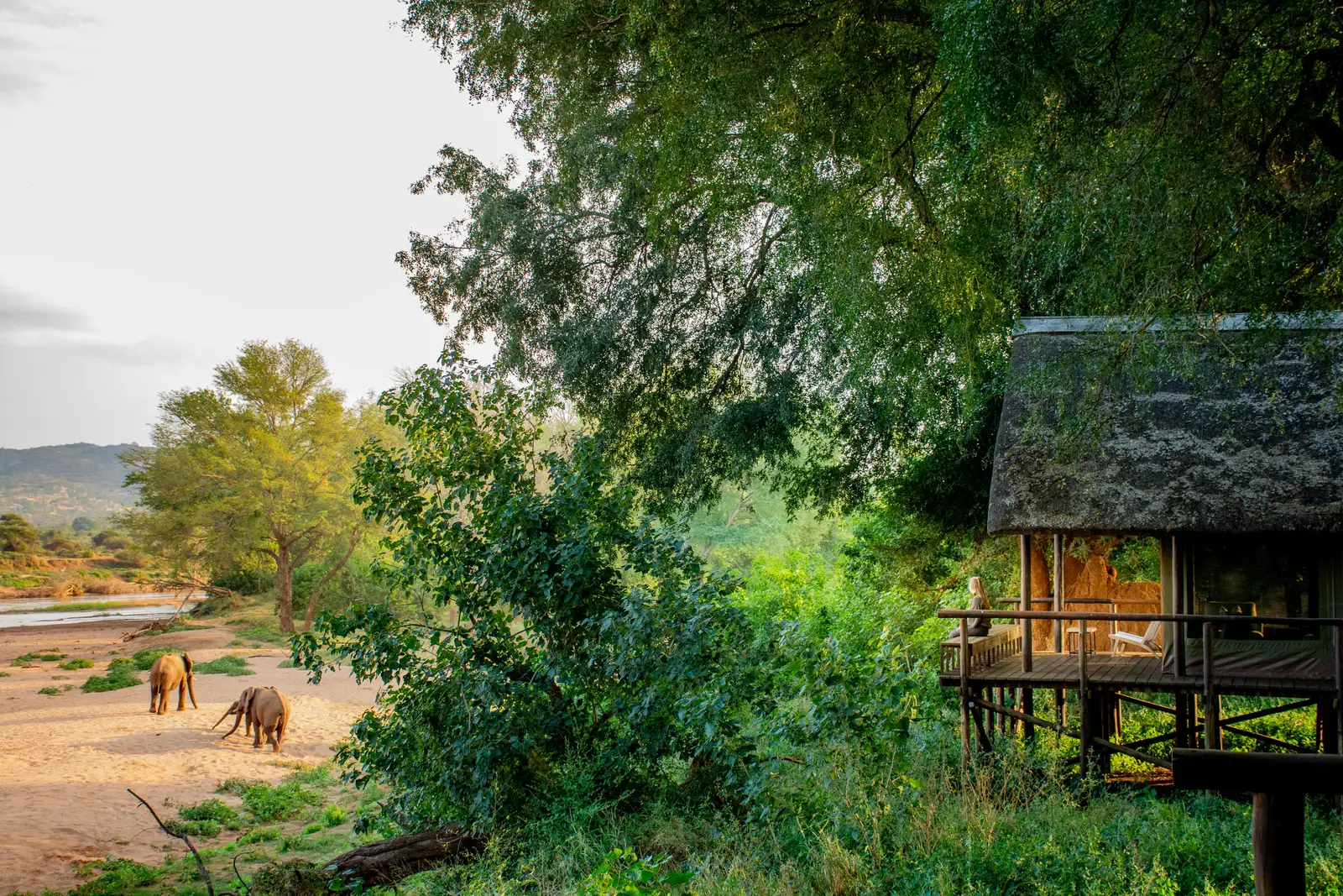 Pafuri Tented Camp