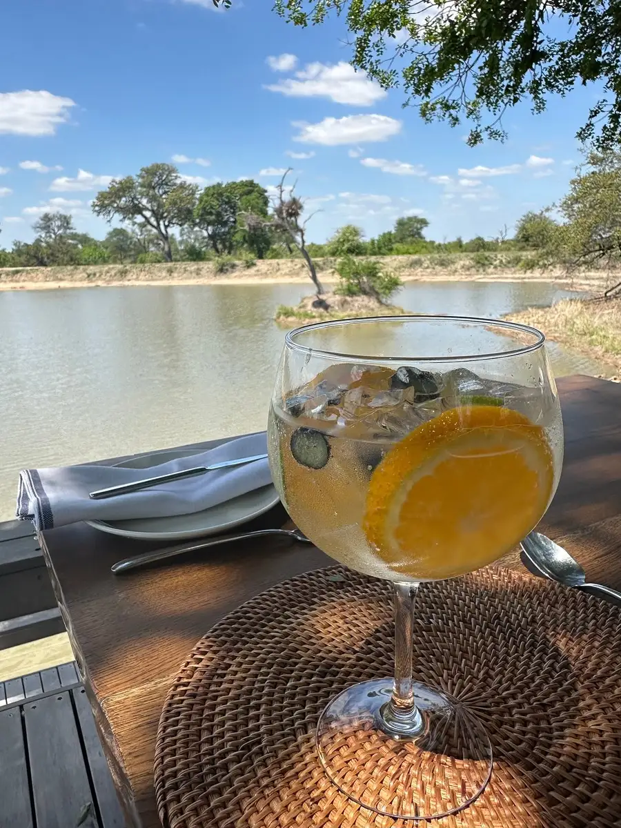 A magical first safari experience! Our guest from Florida enjoyed an unforgettable journey at Simbavati Waterside, creating memories to last a lifetime.