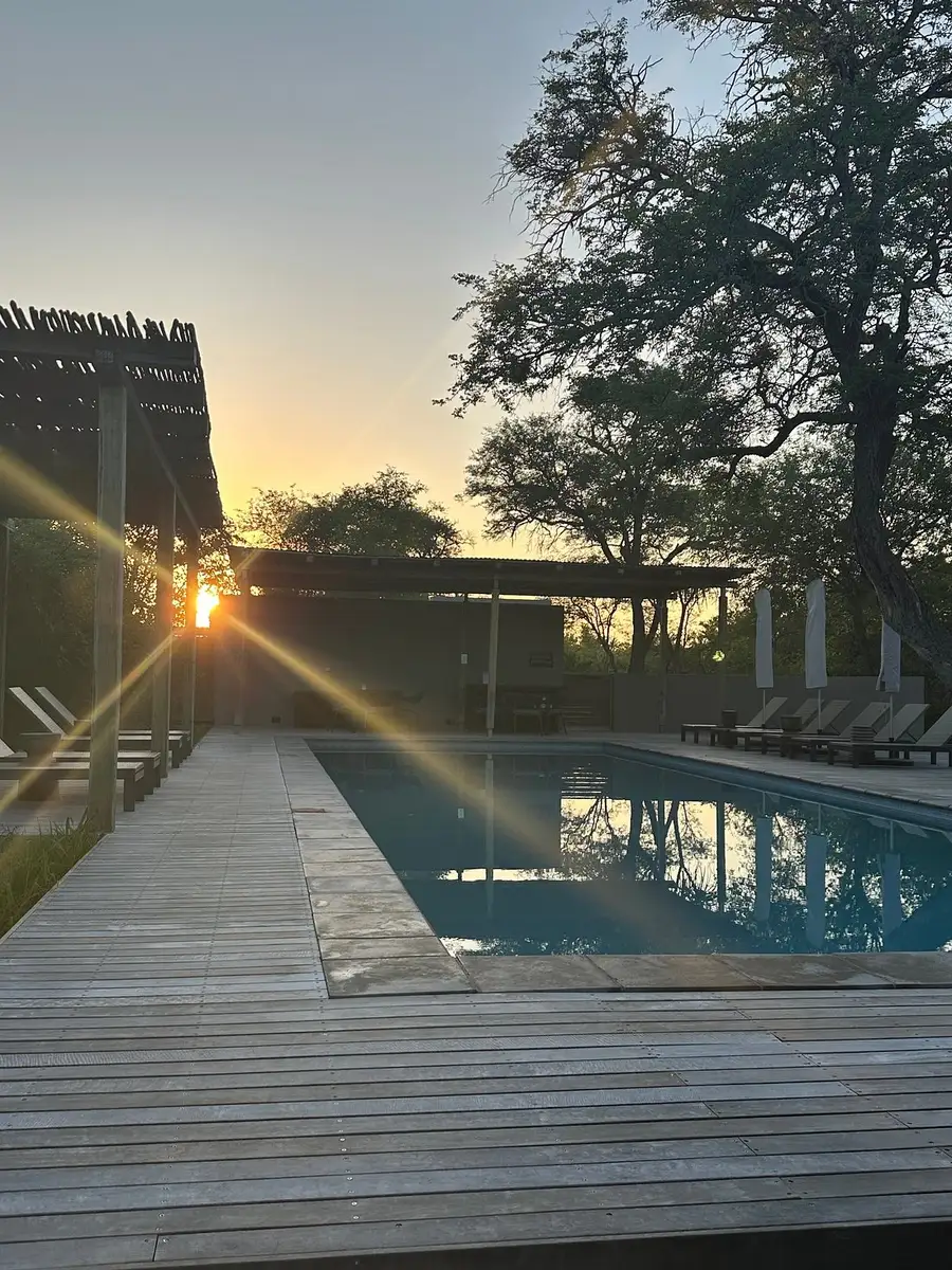 A magical first safari experience! Our guest from Florida enjoyed an unforgettable journey at Simbavati Waterside, creating memories to last a lifetime.