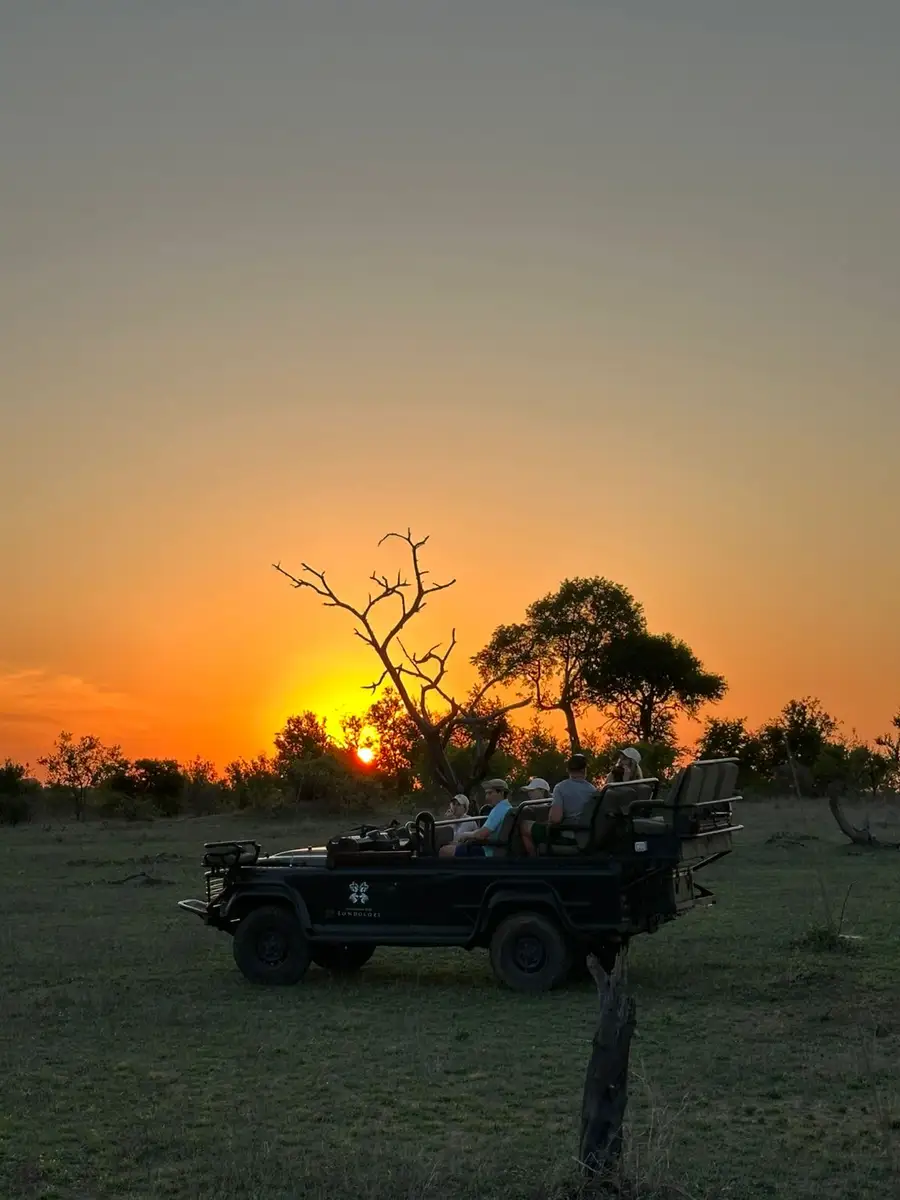  Our South African guests reveled in the top-tier luxury and opulence of the newly renovated Londolozi Founders Camp, with a magical elephant visit to their private pool, a relaxing sauna, and sightings of the Big Five.