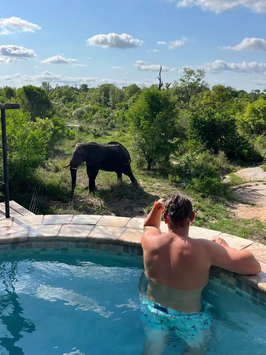  Our South African guests reveled in the top-tier luxury and opulence of the newly renovated Londolozi Founders Camp, with a magical elephant visit to their private pool, a relaxing sauna, and sightings of the Big Five.