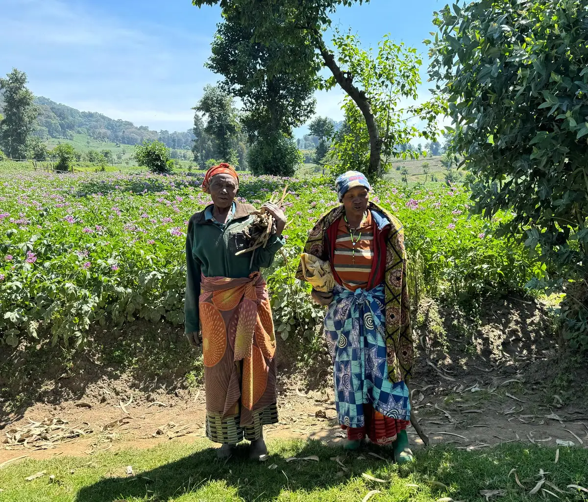  Our guests from the USA experienced gorilla trekking in Rwanda before continuing to a migration safari across Kenya, Tanzania, and Zanzibar. Here are moments with a gorilla troop and interactions with locals in Rwanda.