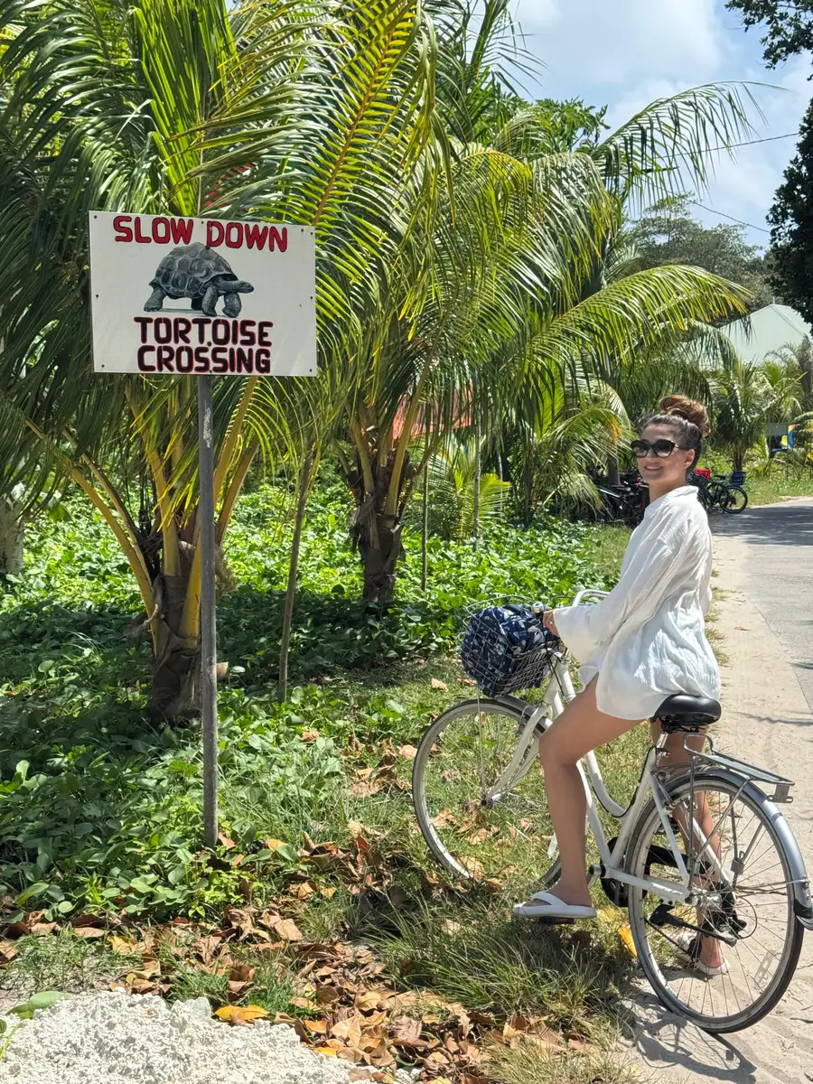 Our CEO at SAFARI.COM and his wife visited La Digue to test their service. They arrived by helicopter, cycled around the island daily, toured all the beaches by private boat, and enjoyed close-up encounters with tortoises.