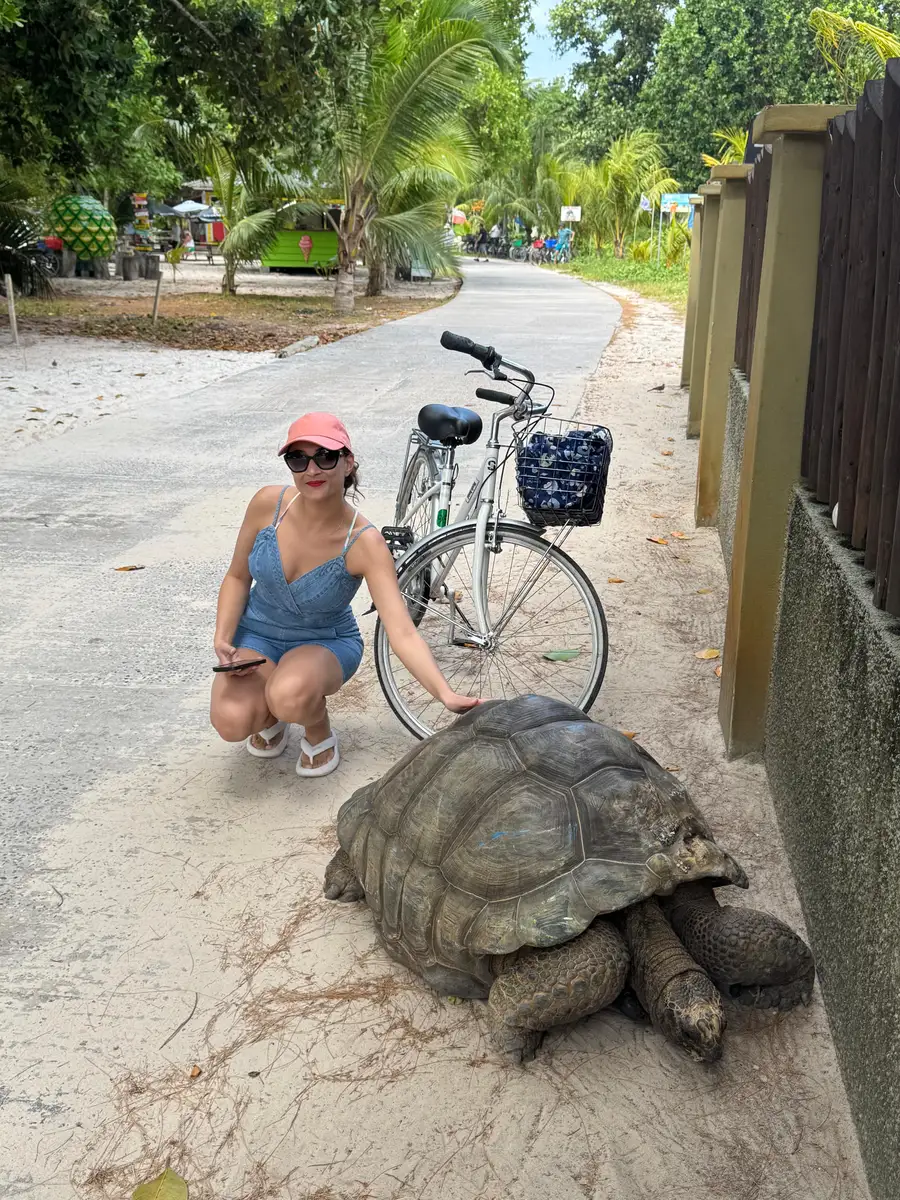 Our CEO at SAFARI.COM and his wife visited La Digue to test their service. They arrived by helicopter, cycled around the island daily, toured all the beaches by private boat, and enjoyed close-up encounters with tortoises.