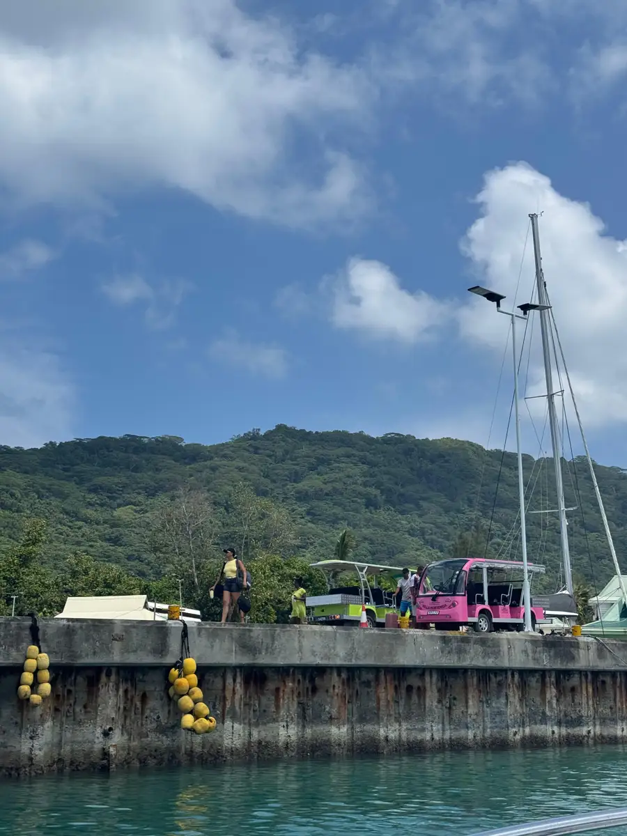 Our CEO at SAFARI.COM and his wife visited La Digue to test their service. They arrived by helicopter, cycled around the island daily, toured all the beaches by private boat, and enjoyed close-up encounters with tortoises.