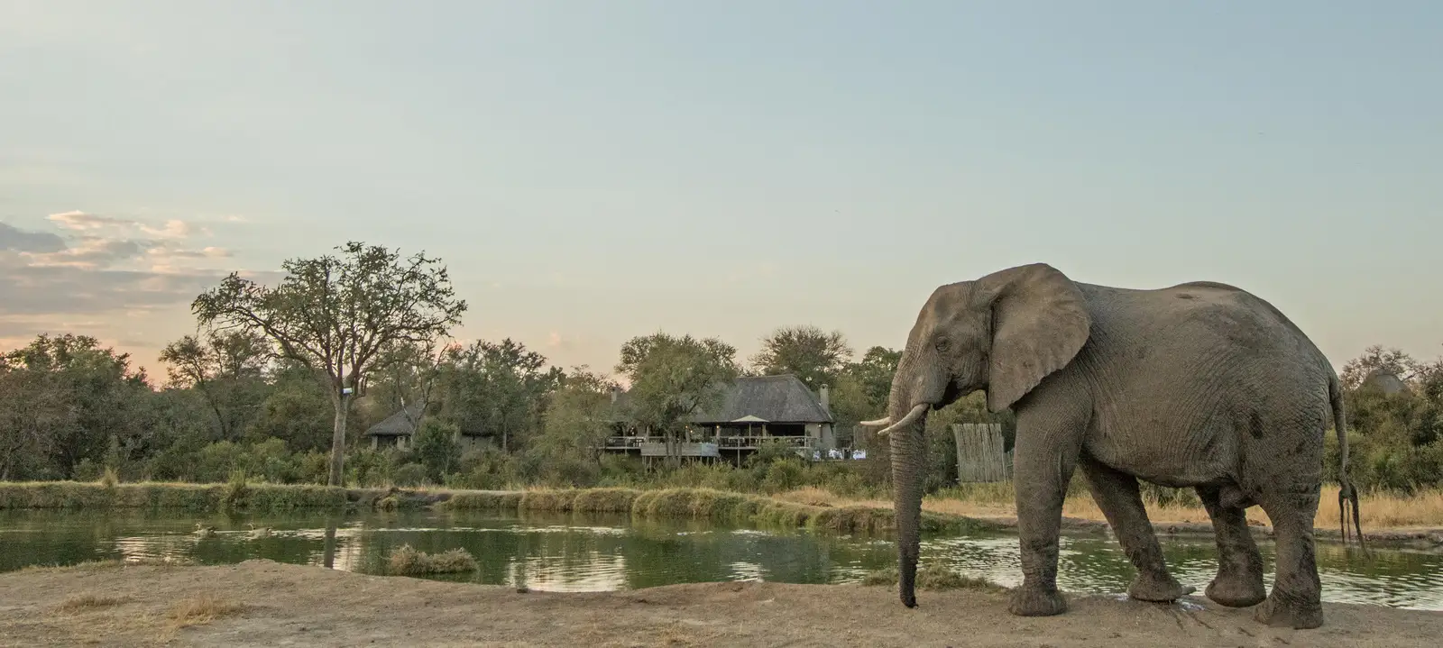 Simbambili Game Lodge