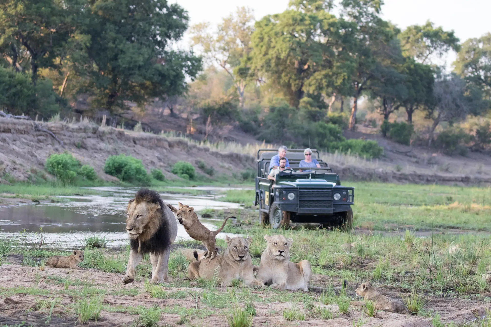 malamala safari